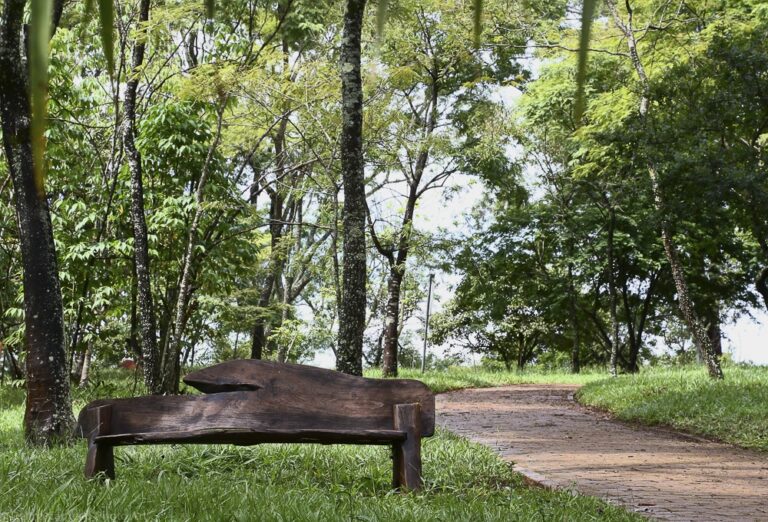Parques ecológicos para curtir as férias em Brasília