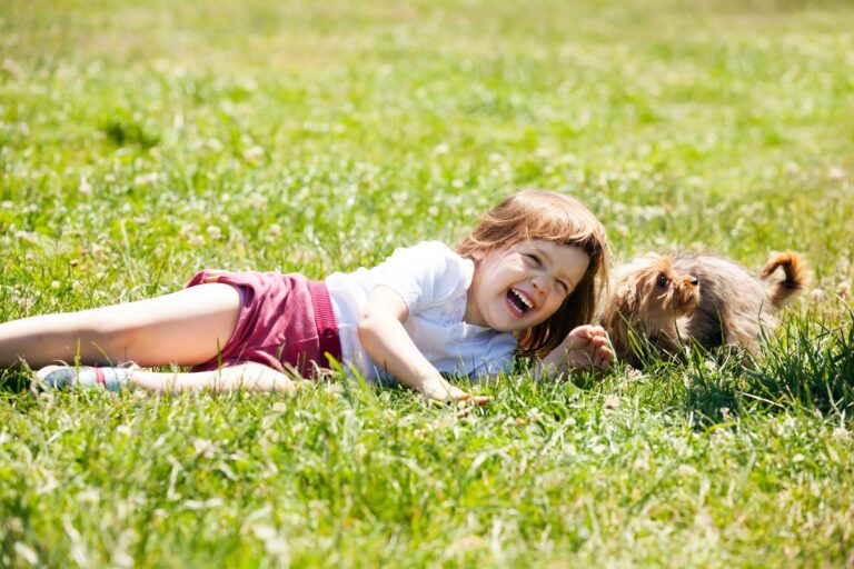 Feira para animais de estimação já tem data marcada em Brasília