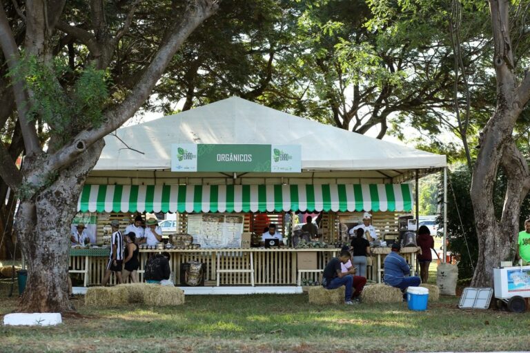 4º Eixão Agro: evento gratuito reúne produtores agrícolas em Brasília