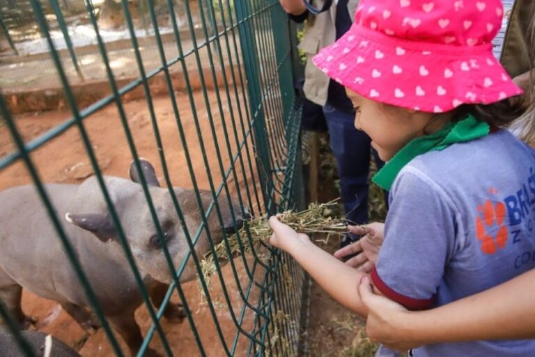 Zoológico de Brasília abre inscrições para ‘colônia de feras’ com muitas atividades para as crianças