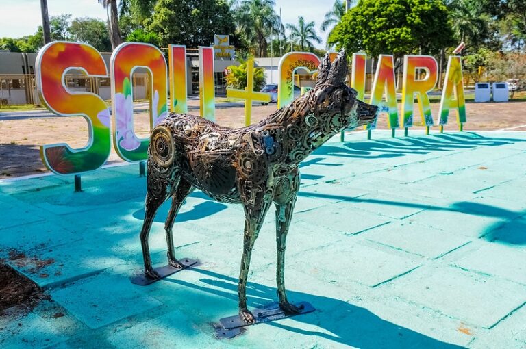 Brasília ganha novo ponto turístico com estátua de lobo-guará em tamanho real