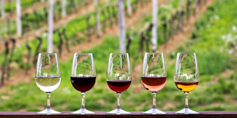 10 vinhos nacionais que custam até R$50 recomendados por enólogo para fazer bonito ao receber os amigos