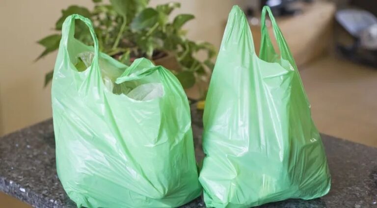 Lei que proíbe distribuição de sacolas plásticas no DF entra em vigor nesta segunda