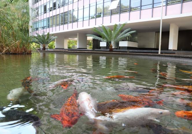 Conheça a quadra modelo de Brasília