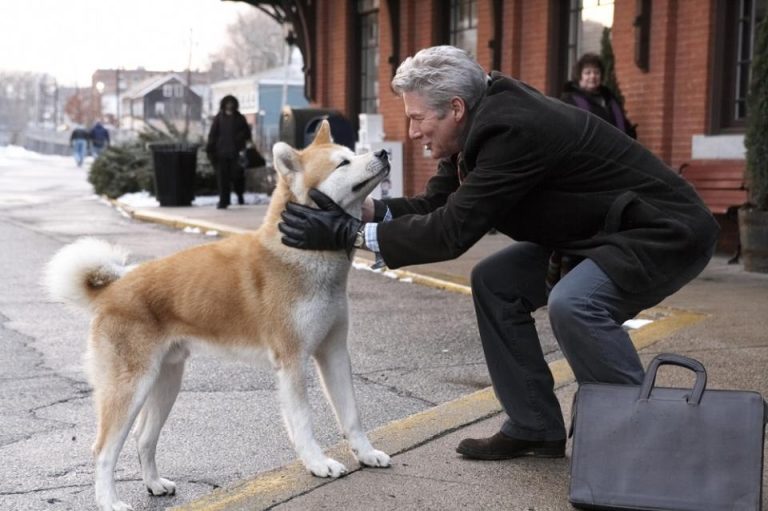 6 filmes obrigatórios para quem ama cachorro