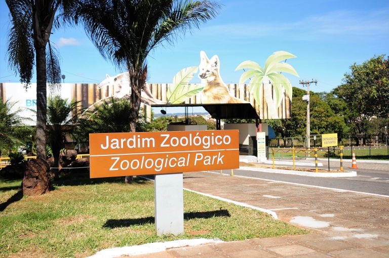 Zoológico de Brasília celebra o Dia da Mulher com entrada gratuita