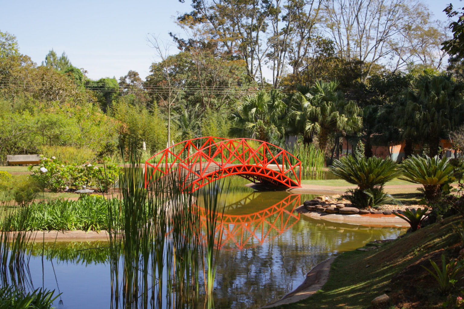 Zoológico e Jardim Botânico gratuitos em Brasília