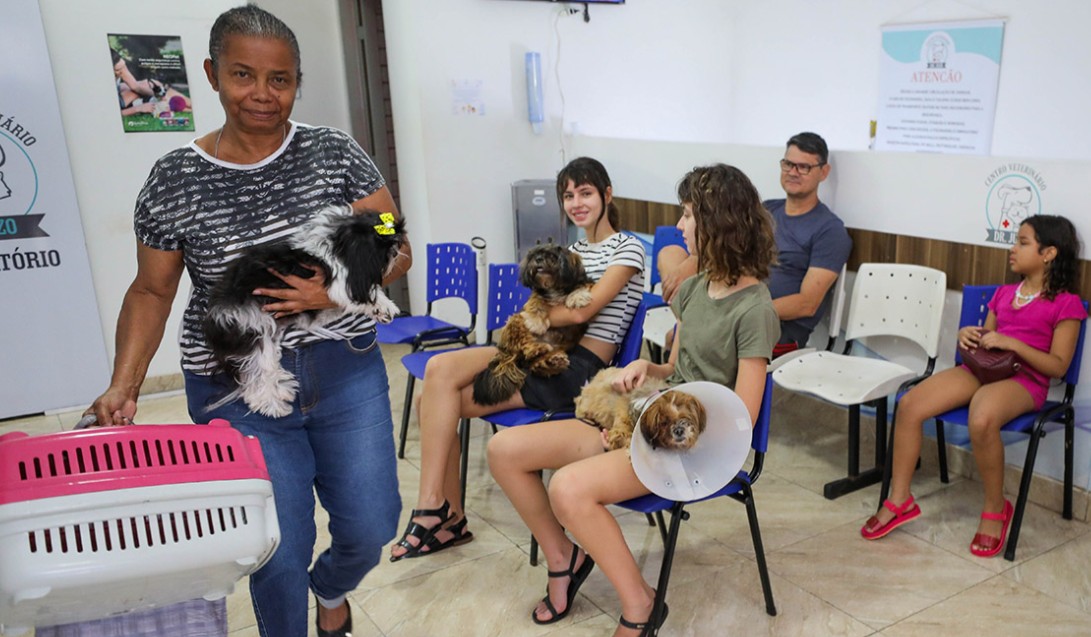 Castração gratuita no DF