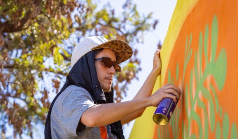Colorida e criativa: conheça a cidade mais grafitada do DF