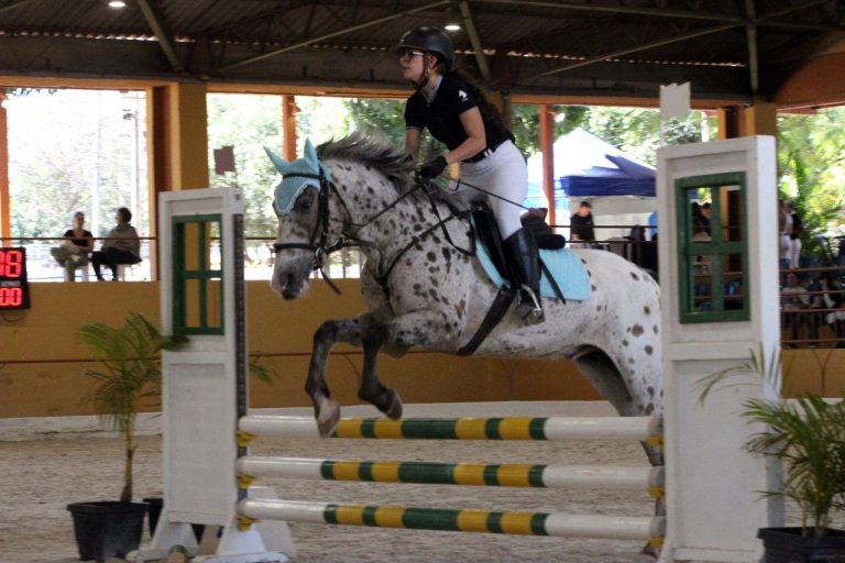 Campeonato de Saltos agita fim de semana na Hípica de Brasília
