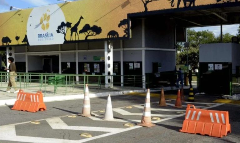 Zoológico de Brasília reabre nesta segunda (7) e com programação especial para às férias de julho