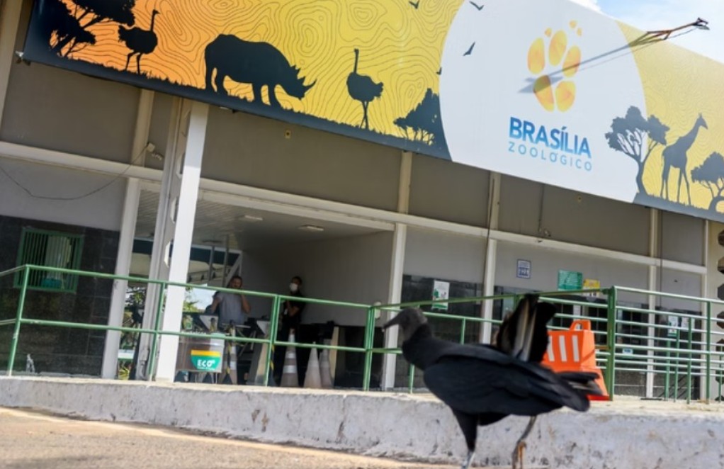 Zoológico de Brasília reabre nesta segunda (7) e com programação especial para as férias de julho