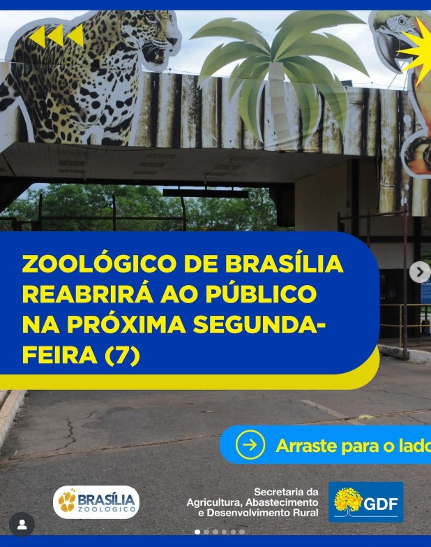 Zoológico de Brasília reabre nesta segunda (7) e com programação especial para as férias de julho