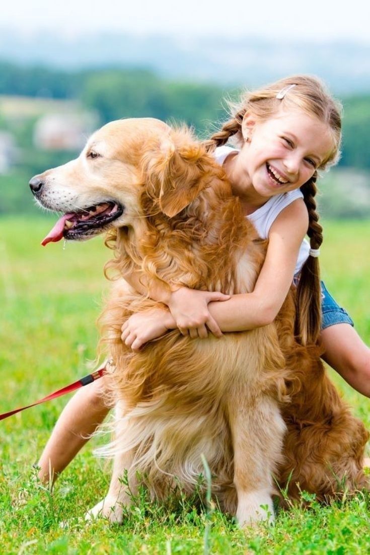 As melhores raças de cachorro para ter em casa
