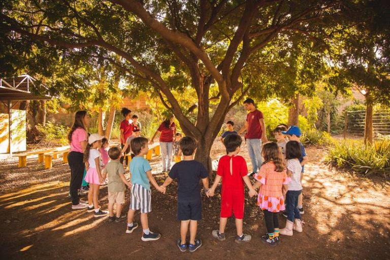 Fazendinha em Brasília terá programação especial de Dia das Crianças