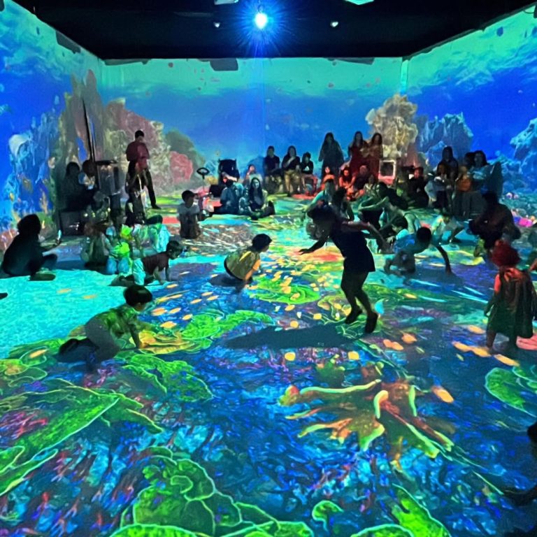 Exposição em Brasília traz experiência imersiva em oceano