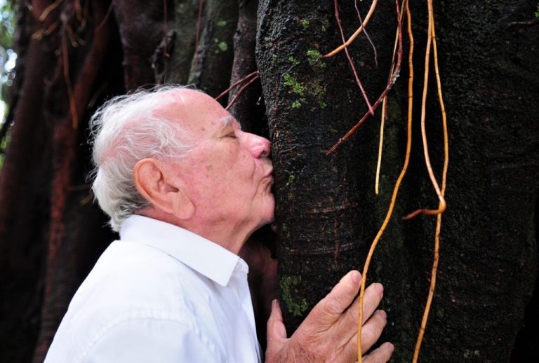 Aniversário de Brasília: conheça a árvore dos desejos que fica no coração da capital