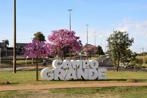 Campo Grande, a capital dos Ipês (Imagem: Divulgação/Prefeitura de Campo Grande)