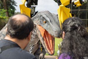 Aniversariante em Foz do Iguaçu tem entrada gratuita em atrativos turísticos