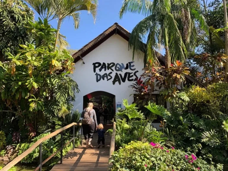 Parque das Aves fecha mês de aniversário com grande público e experiências que aproximam pessoas e natureza