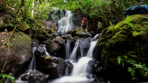 8 passeios tranquilos em Foz do Iguaçu para fugir do Carnaval