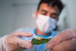 Parque das Aves destaca os “habitantes invisíveis” da Mata Atlântica
