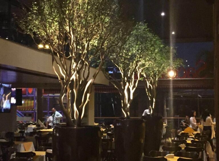 Saccaria do Setor Marista reabre como o novo restaurante da família de Goiânia