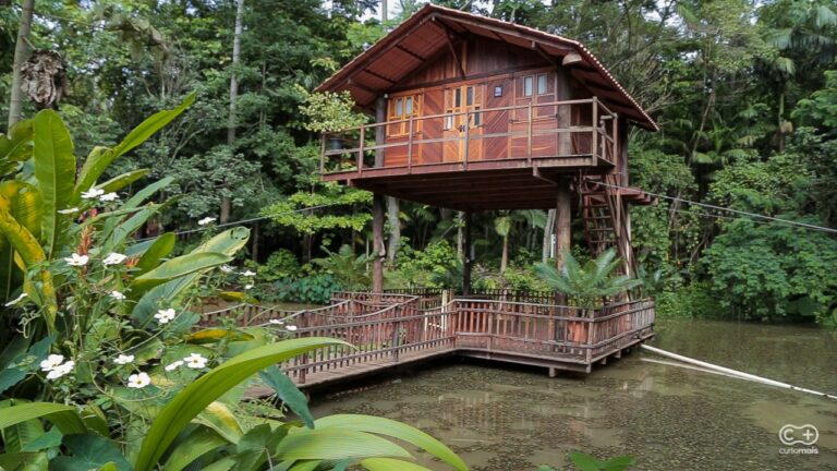 Descobrimos uma pousadinha com cabanas suspensas, lagos de pesca e muito sossego dentro de Goiânia
