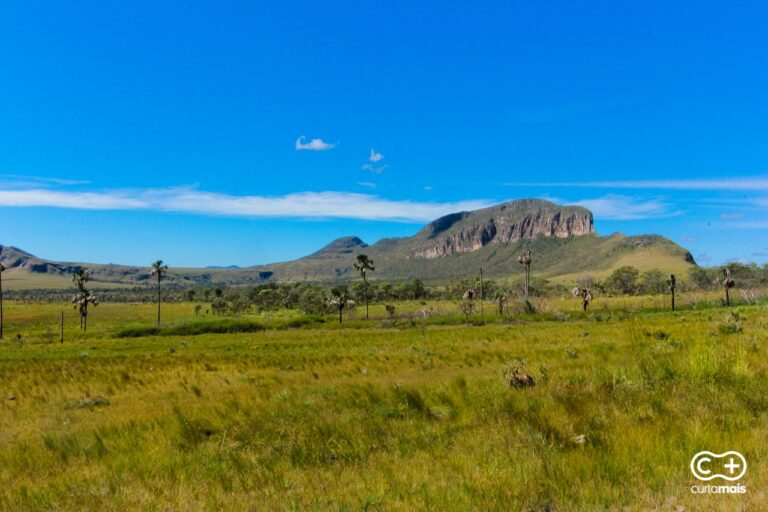 Conheça o Jardim de Maytrea: Um Portal Para Outra Dimensão na Chapada dos Veadeiros