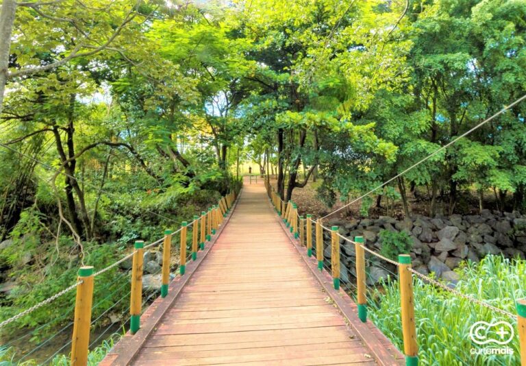 Bernardo Élis: um charmoso parque em Goiânia que você provavelmente não conhecia