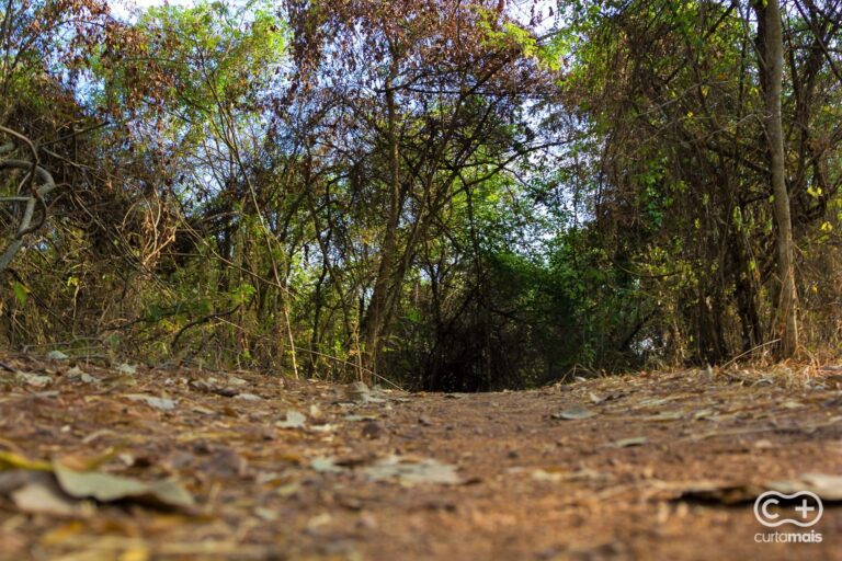 Laboratório: uma trilha de Mountain Bike perfeita dentro de Goiânia que provavelmente você não sabia que existia