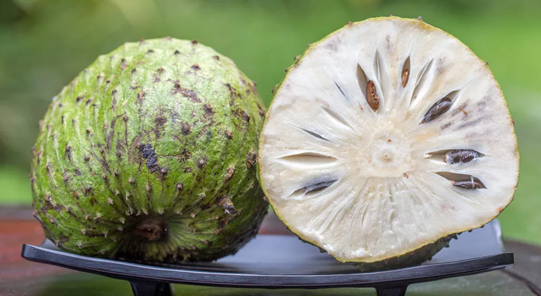 Saiba qual é a fruta típica do Cerrado que diminui risco de câncer e  fortalece economia de povos tradicionais, Mato Grosso do Sul