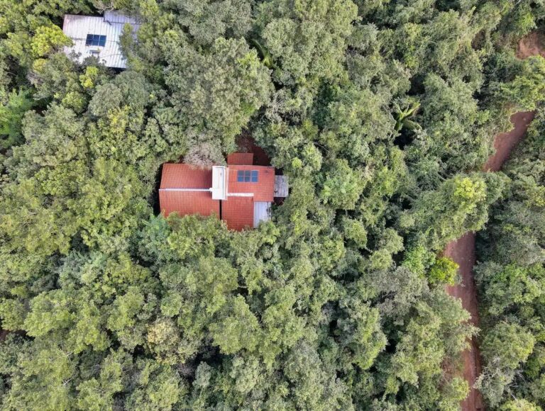 10 casas espetaculares no Airbnb em Goiás para apreciar o cerrado em grande estilo