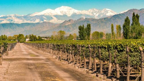 Mendoza é o coração da indústria vinícola da Argentina, especialmente conhecida por seus Malbecs robustos e outros vinhos tintos de alta qualidade