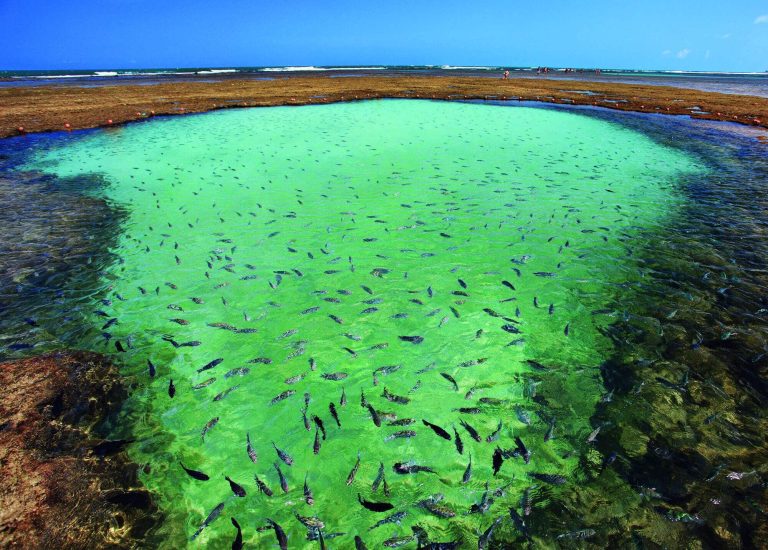 Caribe brasileiro tem cenario nacional exuberante e passado sombrio ligado ao tráfico de escravos