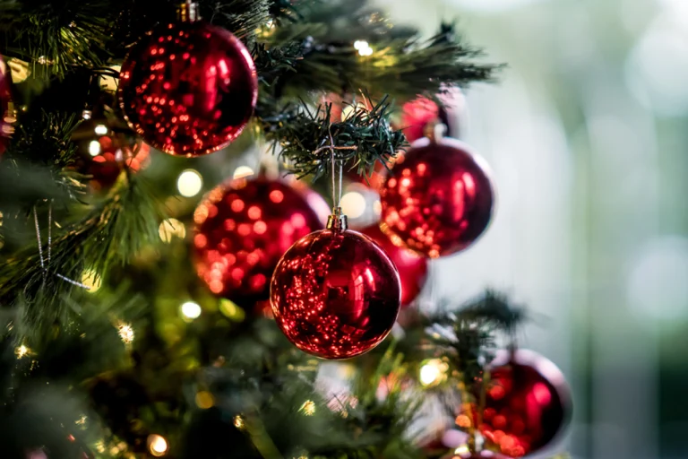 Pratos da ceia de natal que fazem mais sucesso