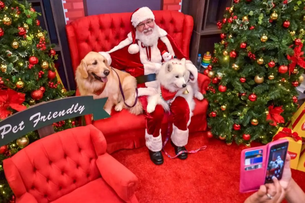 Encontro de Natal terá Papai Noel para Cachorros