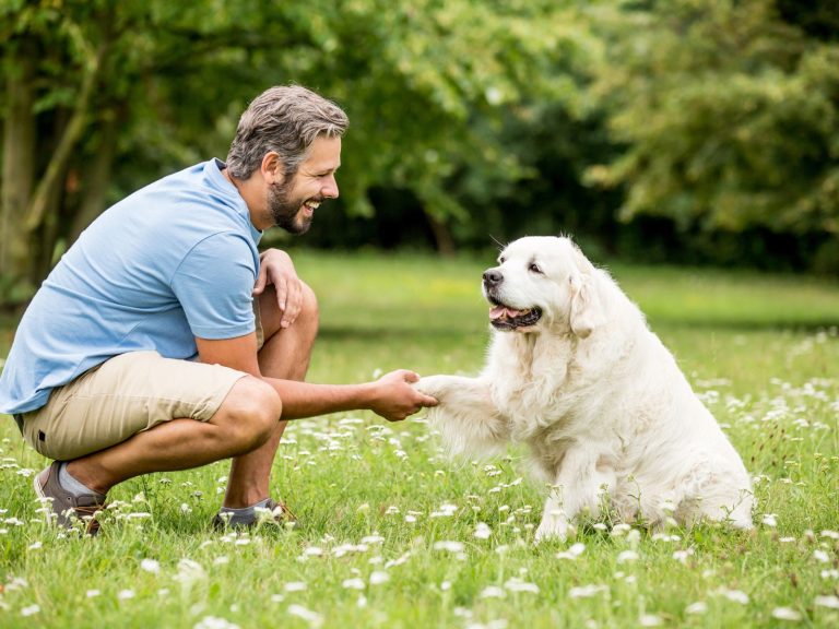 Pets podem “copiar” comportamentos humanos, revela estudo