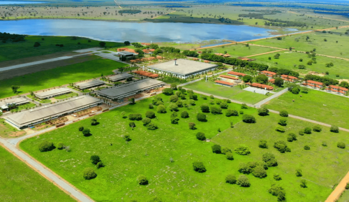 Maior fazenda do Brasil fica em Goiás e supera o tamanho da maioria das metrópoles do mundo