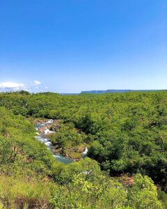 Divisa de Goiás e Tocantins tem uma prainha pouco conhecida que parece um oásis em meio a natureza exuberante do Cerrado: Poço Babaçu