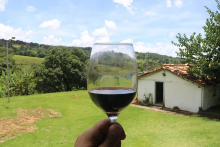 Vinícola Pireneus e Calliandra Gastronomia