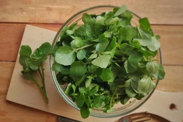 verduras e legumes