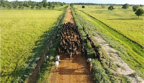 Maior fazenda do Brasil fica em Goiás e supera o tamanho da maioria das metrópoles do mundo
