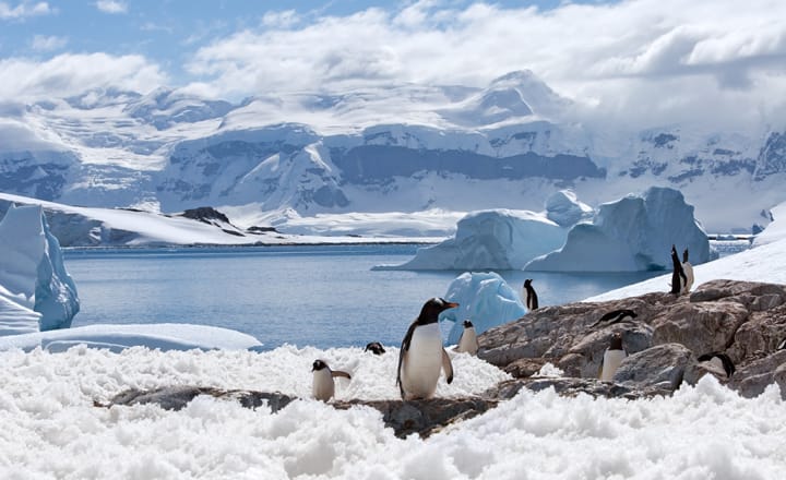 Curiosidades sobre a Antártida