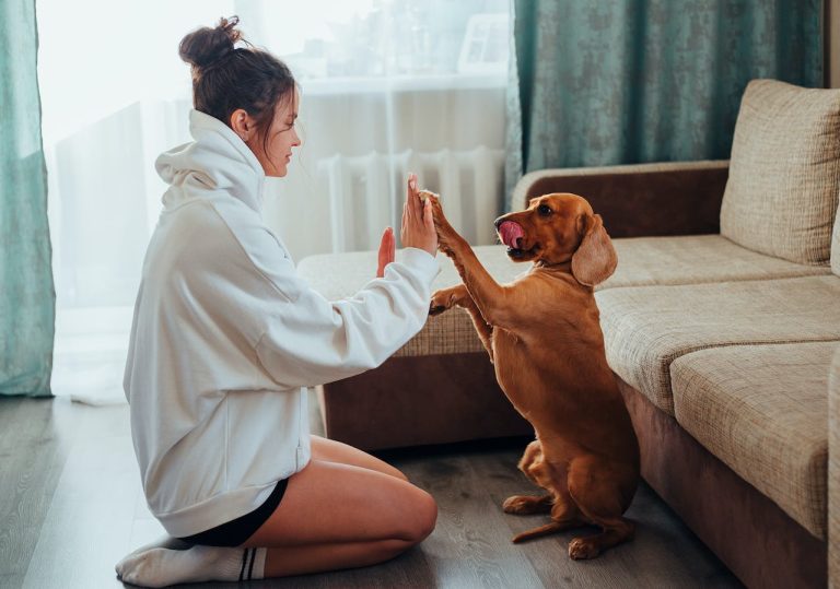 Confira 5 dicas valiosas de como prolongar a vida do seu pet de estimação