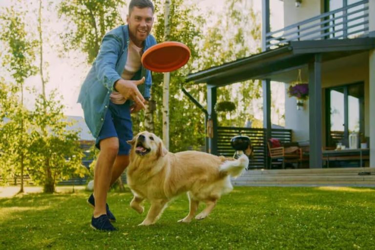 Brincar com Cães ajuda a reduzir o estresse