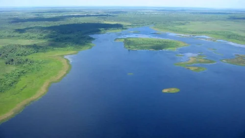 Uma visão serena do Parque Nacional do Cabo Orange: onde a imensidão verde da Amazônia brasileira encontra a tranquilidade azul de suas águas. Um refúgio para a biodiversidade e um convite à aventura e conservação.