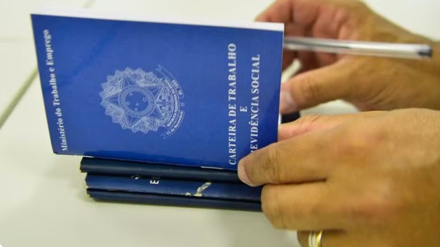 Empregos em Goiás: setor de serviços é o que mais gerou vagas em 2024