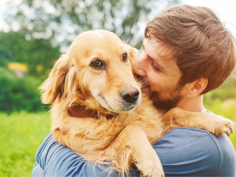 Descubra qual é a hora certa de adotar um cachorro