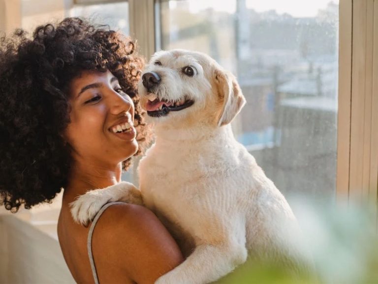 Será que os cachorros pensam? Descubra a resposta
